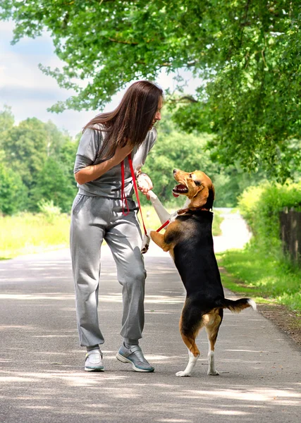 Young woman walking with beagle dog outdoors — Stock Photo, Image