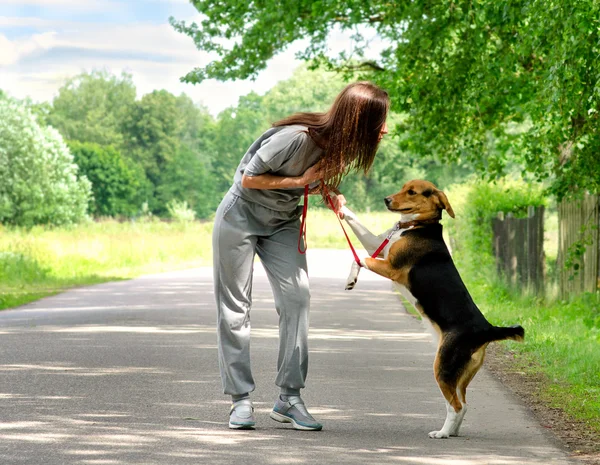 Tânără femeie care se joacă cu Beagle — Fotografie, imagine de stoc