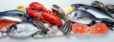 Taze çiğ balık ve deniz ürünleri çeşitleri. Sağlıklı ve dengeli diyet ya da yemek pişirme konsepti. Üst Manzara, Panorama, Pankart