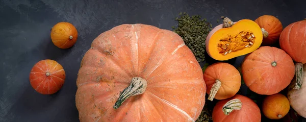 Surtido Calabazas Crudas Sobre Fondo Gris Cosecha Otoño Concepto Día —  Fotos de Stock