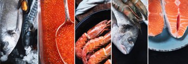 Taze balık ve deniz ürünleri kolajı. Sağlıklı gıda konsepti. Panorama, bayrak