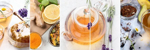 Various Kinds Herbal Tea Natural Herbs Medicine Collage Panorama Banner — Stock Photo, Image