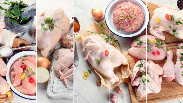 Свежий Коллаж Куриного Мяса Концепция Питания — стоковое фото