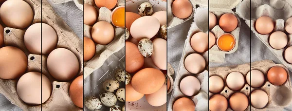 Collage Huevos Gallina Crudos Concepto Alimenticio — Foto de Stock