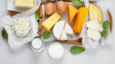 Gri arka planda farklı taze süt ürünleri. Üst görünüm