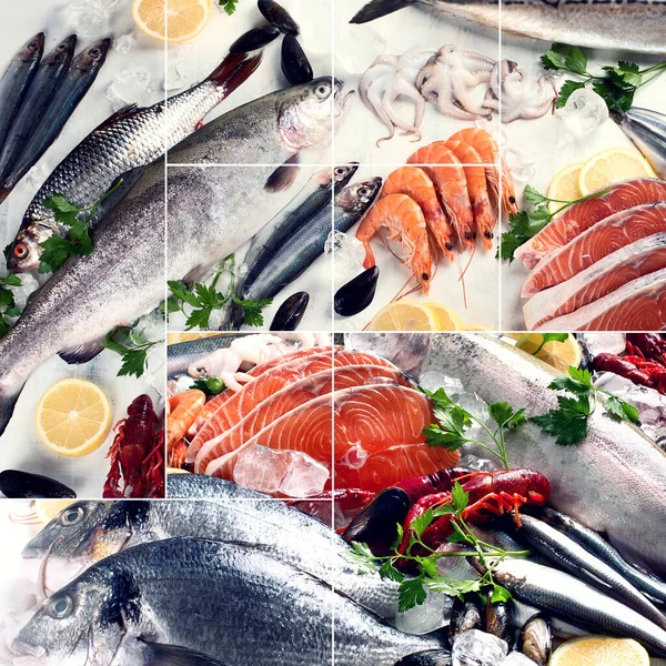 Collage Fresh Fish Seafood Healthy Eating Concept — Stock Photo, Image