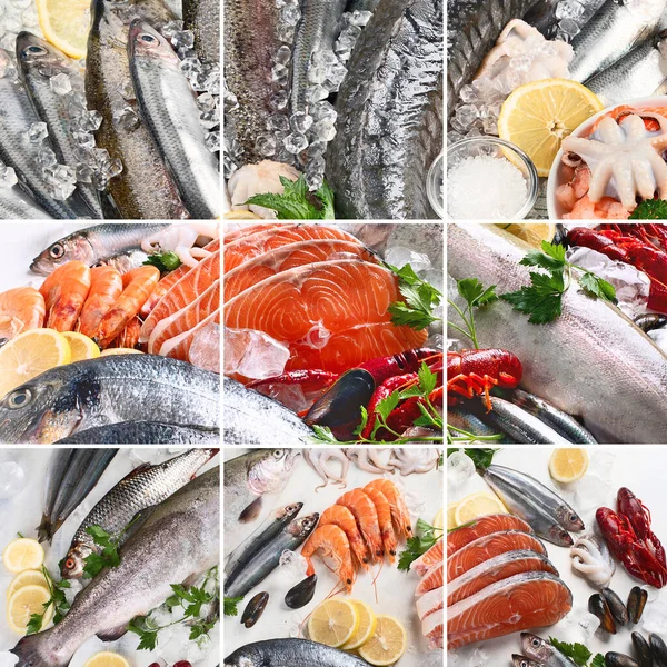 Collage Fresh Fish Seafood Healthy Eating Concept — Stock Photo, Image