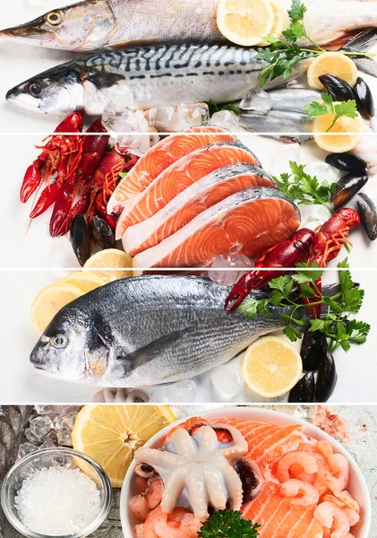 Collage Pesce Fresco Frutti Mare Alimentazione Sana Concetto — Foto Stock