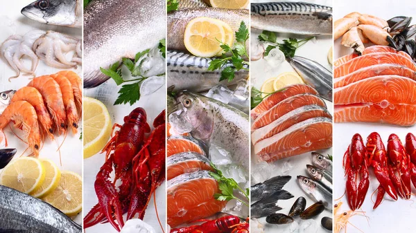 Collage Aus Frischem Fisch Und Meeresfrüchten Konzept Der Gesunden Ernährung — Stockfoto