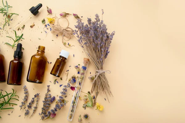 Alternatif bitki ilacı. Şişeler ve kapsüller. Doğal organik. Gıda sağlıklı ve sağlıklı beslenme kavramı. Üst görünüm, alanı kopyala