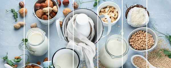 Collage Varios Vegetales Veganos Base Leche Ingredientes Bebida Sustituta Leche — Foto de Stock