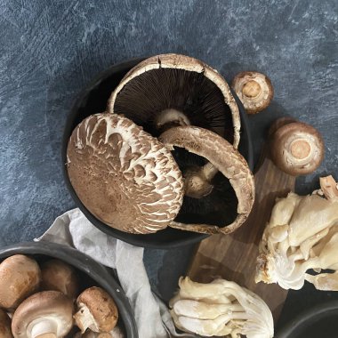 Karışık mantar. Üst görünüm, alanı kopyala