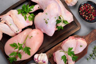 Gri arka planda pişirmek için baharatlı ve otlu çiğ tavuk eti parçaları. Üst görünüm