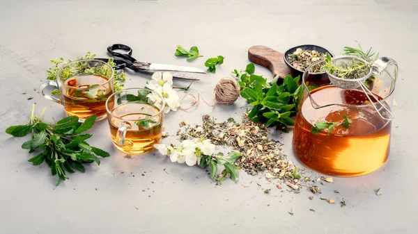 Kräutertee Mit Tassen Und Teekanne Auf Hellgrauem Hintergrund — Stockfoto