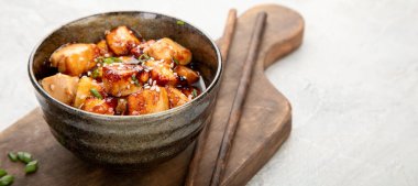 Açık gri arka planda susamlı geleneksel ev yapımı kızarmış tofu. Panorama, boşluğu kopyala