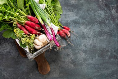 Koyu gri arka planda taze turplar. Mevsimlik gıda konsepti. Üst görünüm, düz görünüm, kopyalama alanı, 