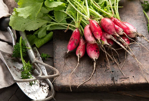 Fresh Radishes Dark Gray Background Seasonal Food Concept — Stock Photo, Image