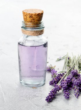 Açık gri arka planda bir şişe gerekli yağ ve lavanta çiçeği.. 