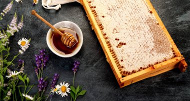 Kavanozda bal ve gri arka planda bal peteği. Üst manzara, düz uzanma