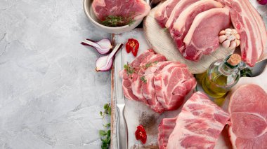 Açık gri arka planda çiğ domuz eti çeşitleri. Organik gurme yemek konsepti. Üst görünüm, düz görünüm, kopyalama alanı