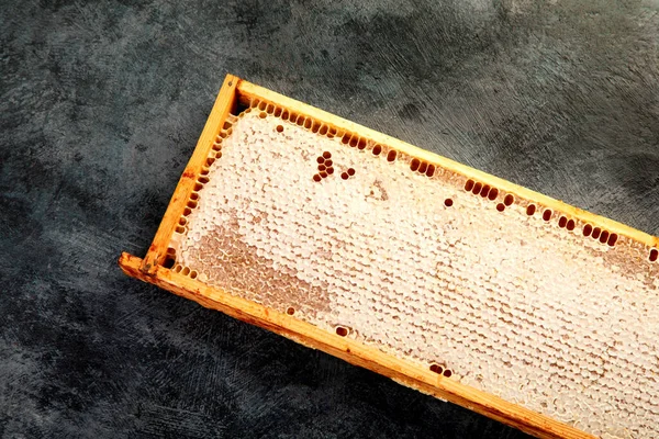 瓶の中の蜂蜜と灰色の背景のハニカム トップビュー フラットレイアウト コピースペース — ストック写真