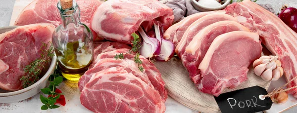 바탕에는 생돼지고기 종류가 유기농 미식가들의 개념입니다 파노라마 — 스톡 사진