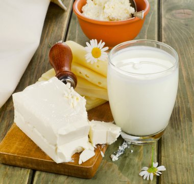 Süt Ürünleri