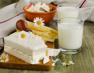 Süt Ürünleri