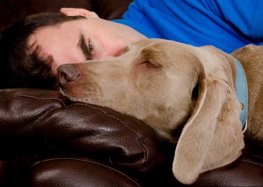 Köpek ve Adam 