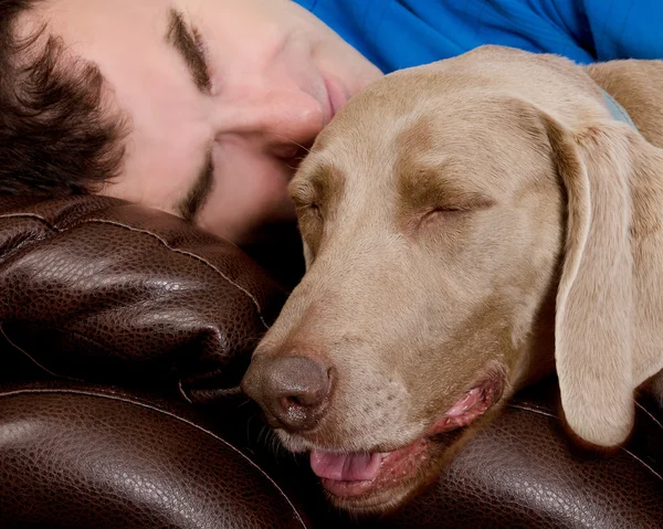 Dog and man together — Stock Photo, Image