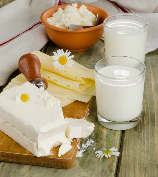 Productos lácteos frescos — Foto de Stock