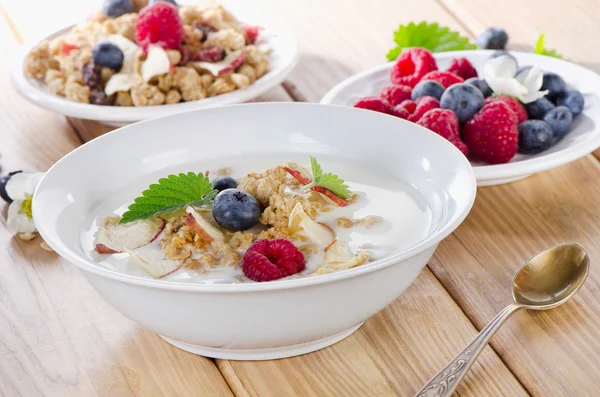 Tigela de muesli e iogurte — Fotografia de Stock