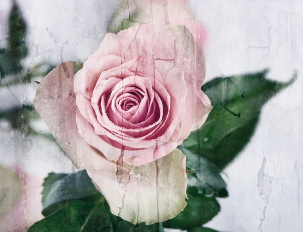 Alter Grunge Hintergrund mit Rose — Stockfoto