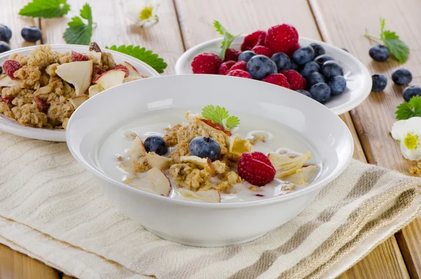 Muesli y yogur con bayas — Foto de Stock