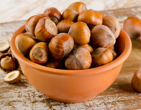 Hazelnuts — Stock fotografie