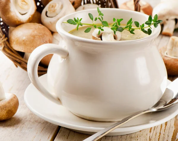 Creamy soup and fresh mushrooms — Stock Photo, Image