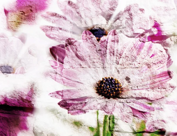 Pink spring flowers — Stock Photo, Image