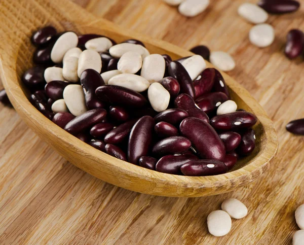 Red and white kidney beans — Stock Photo, Image