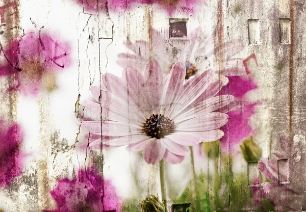 Pink spring flowers — Stock Photo, Image