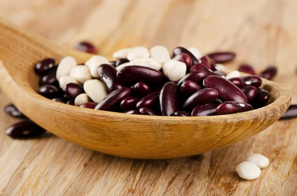 Red and white kidney beans — Stock Photo, Image