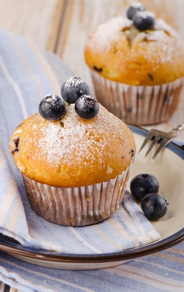 Muffins with blueberries — Stock Photo, Image