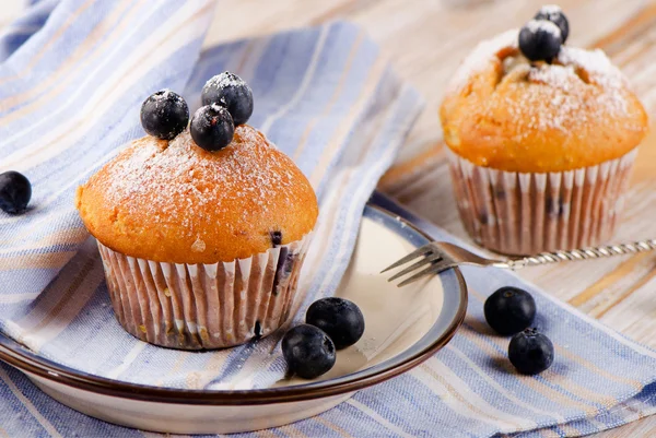 Muffins with blueberries — Stock Photo, Image