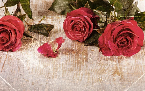 Rosas rojas — Foto de Stock