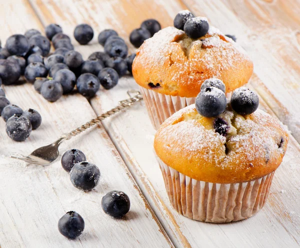 Muffins med blåbär — Stockfoto