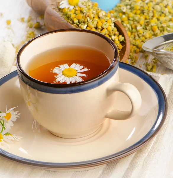 Herbal tea with chamomile . — Stock Photo, Image
