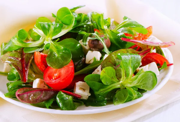 Fresh Salad with feta cheese — Stock Photo, Image