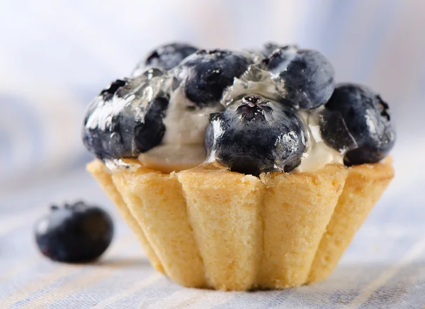 Cake with blueberries — Stock Photo, Image