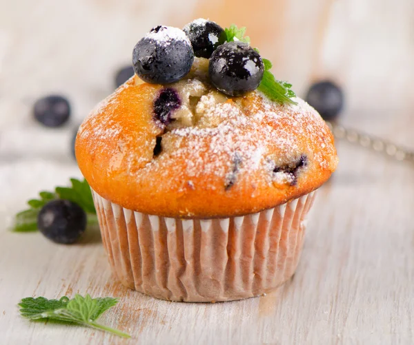 One Blueberry muffin — Stock Photo, Image