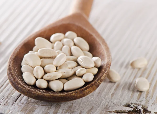 White beans in a old wooden spoon — Stock Photo, Image