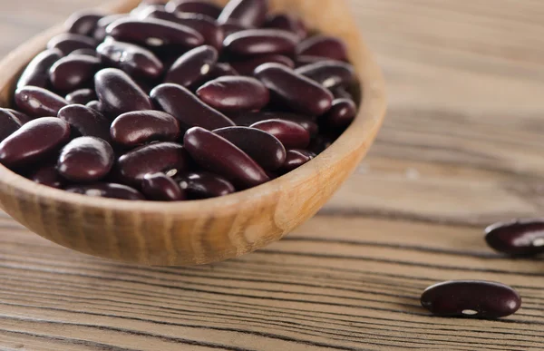 Kidney red beans in wooden  spoon. — Stock Photo, Image
